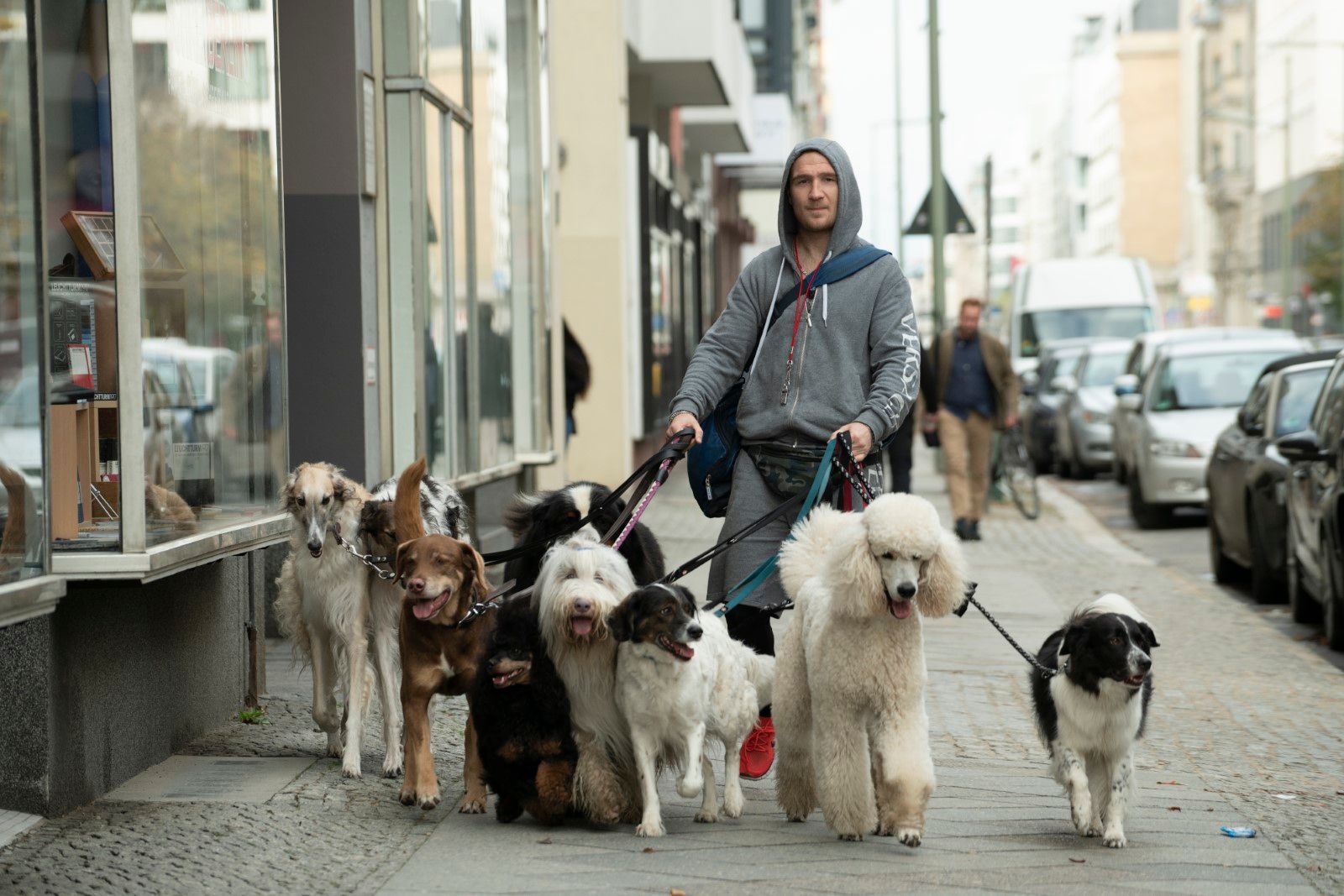 Foto zum Film Wuff - Bild 15 auf 16 - FILMSTARTS.de
