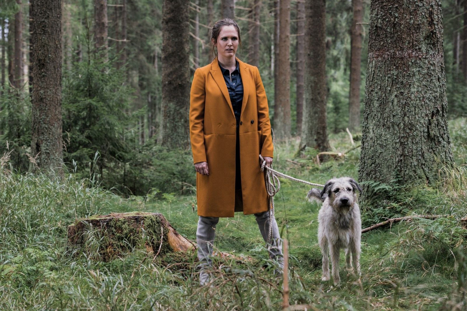 Foto zum Film Wuff - Bild 8 auf 16 - FILMSTARTS.de