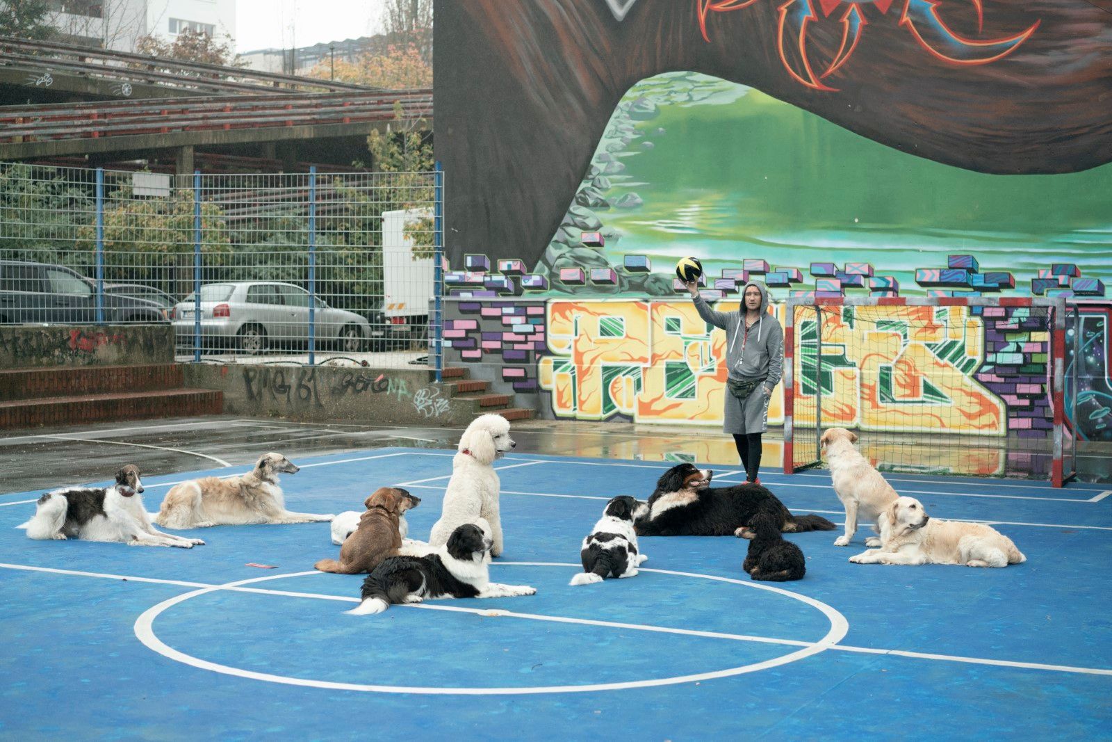 Foto zum Film Wuff - Bild 1 auf 16 - FILMSTARTS.de