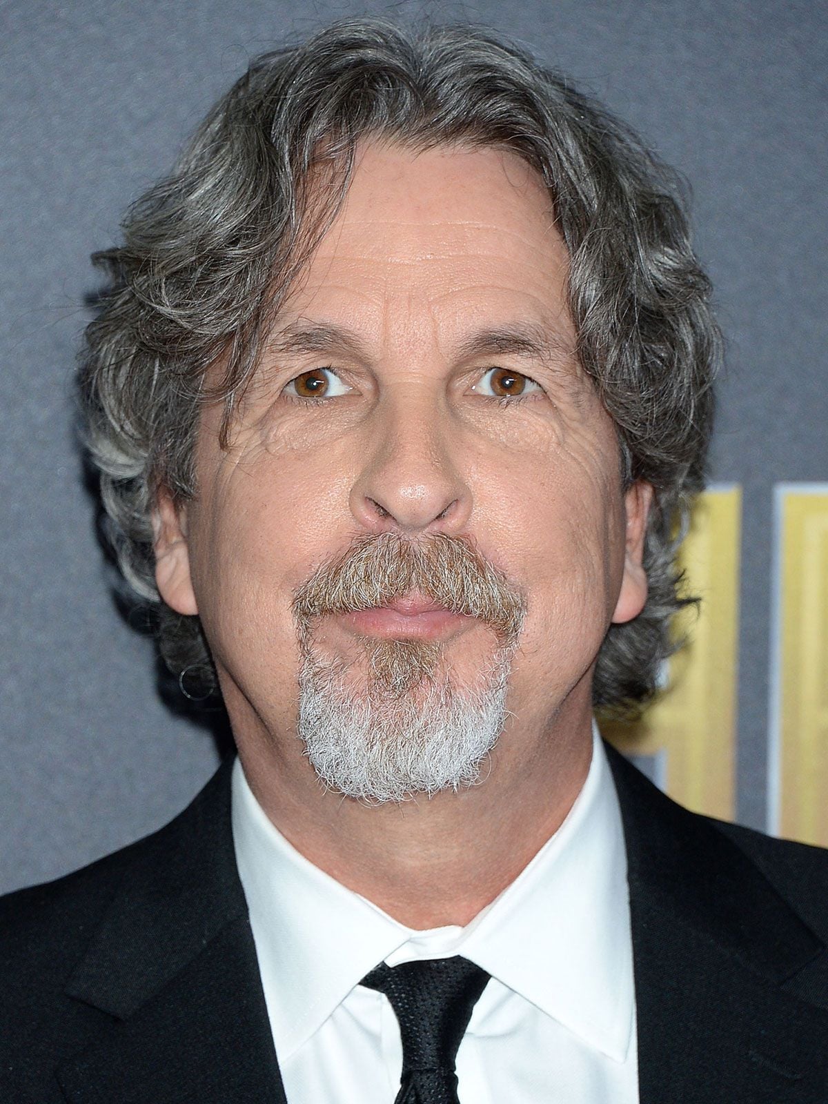 peter farrelly - Ilustrasi 2