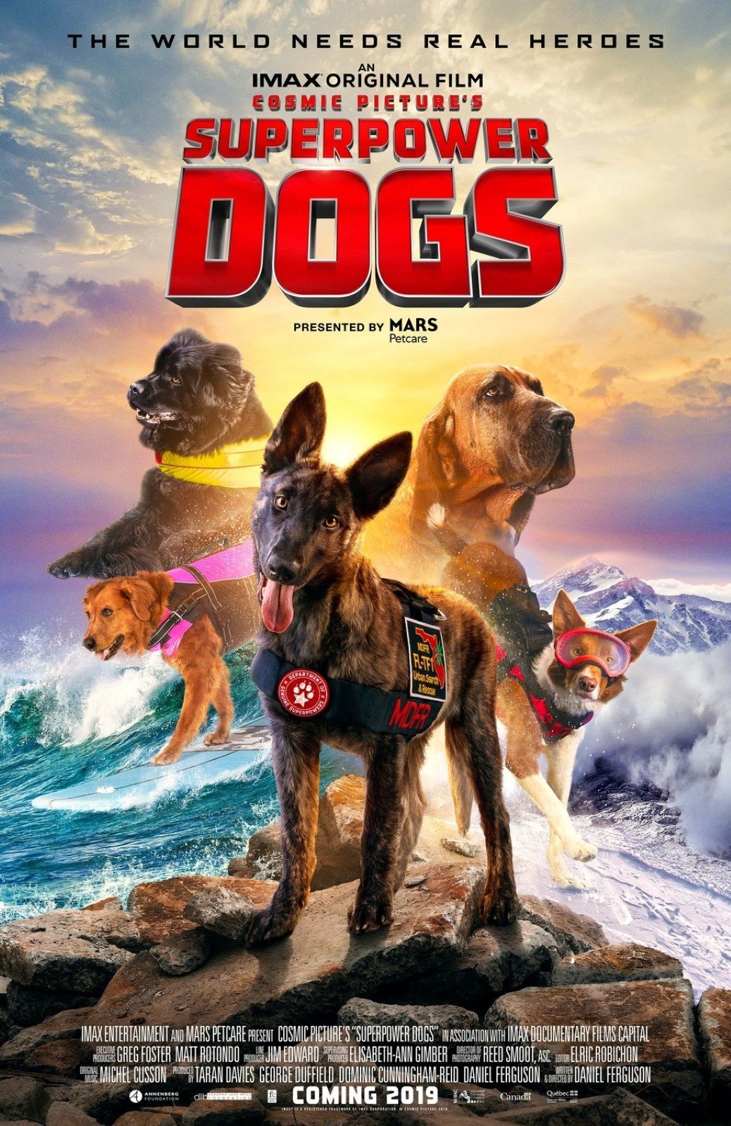 Superpower Dogs - Film 2019 - FILMSTARTS.de
