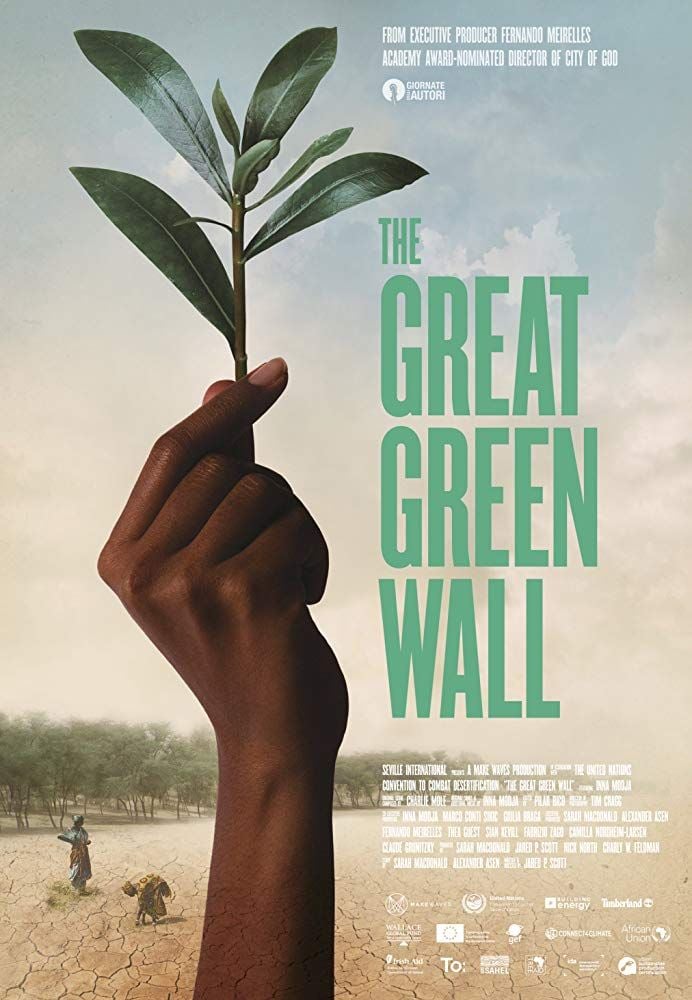 Great Green Wall Pictures Fao News Article A Great Green Wall For