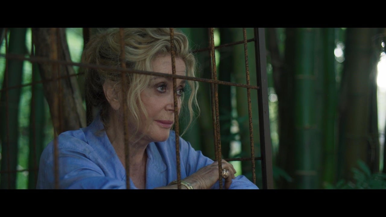 Bild Zu Catherine Deneuve Terrible Jungle Bild Catherine Deneuve Filmstarts De