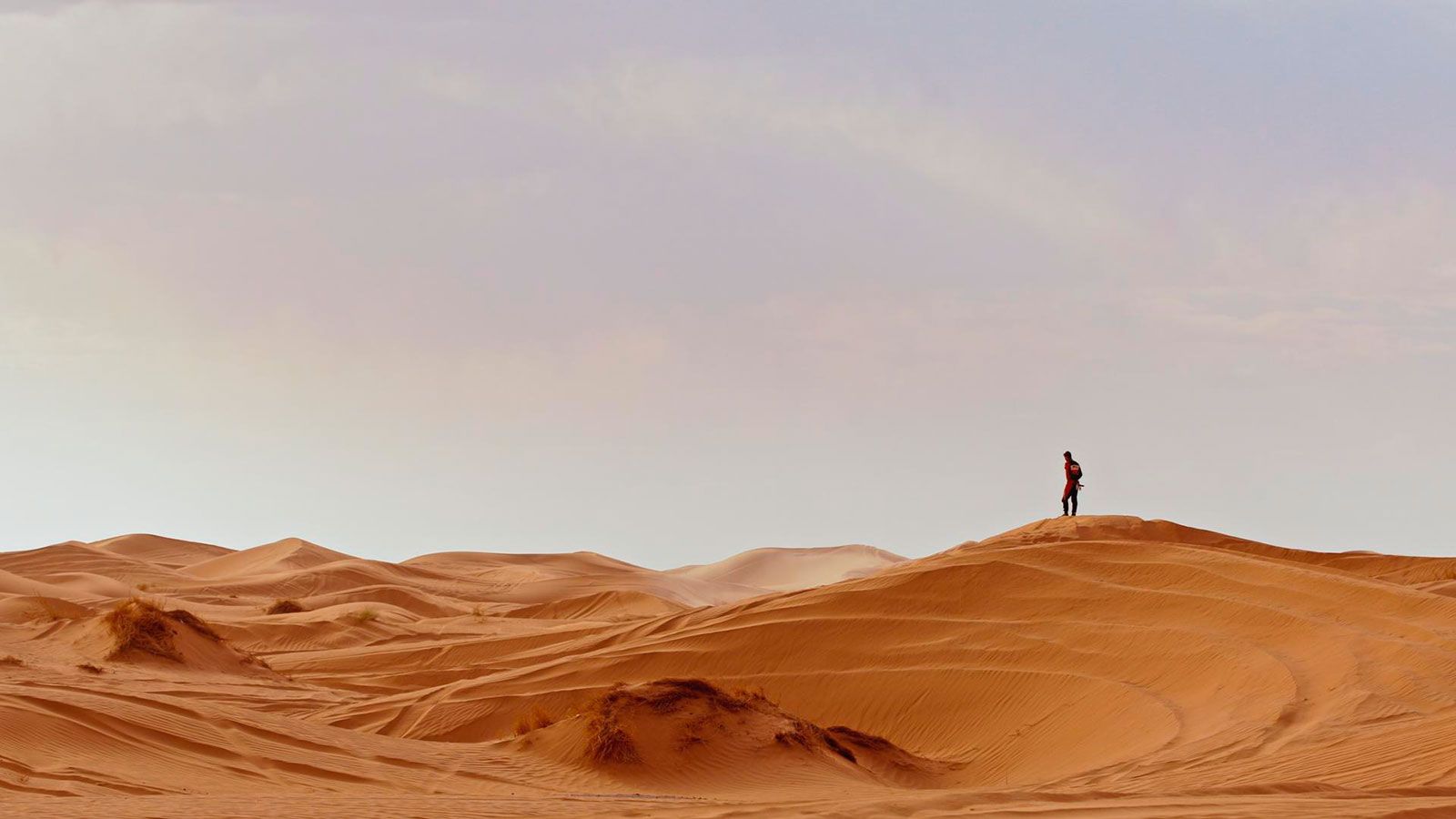 Bildergalerie Fernando Bild 33 von 40 FILMSTARTS.de