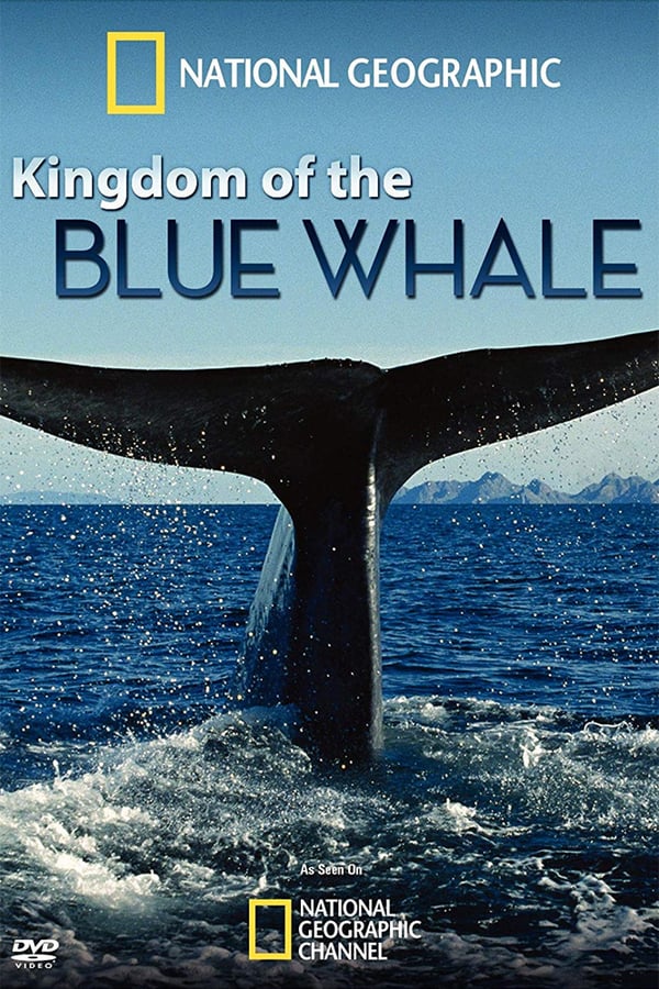 Kingdom of the Blue Whale - Film 2009 - FILMSTARTS.de