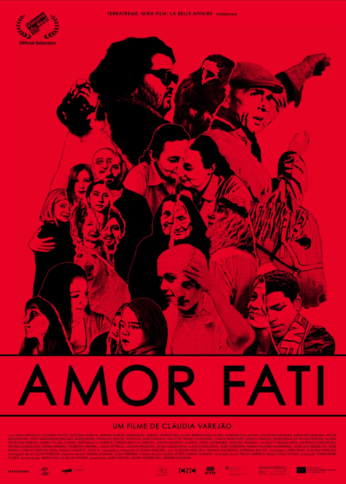 Amor fati что значит