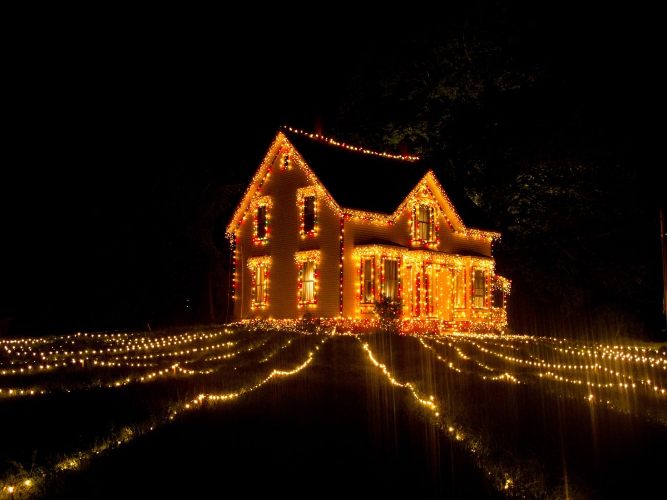 Foto zu Weihnachten des Herzens Bild 2 auf 5 FILMSTARTS.de