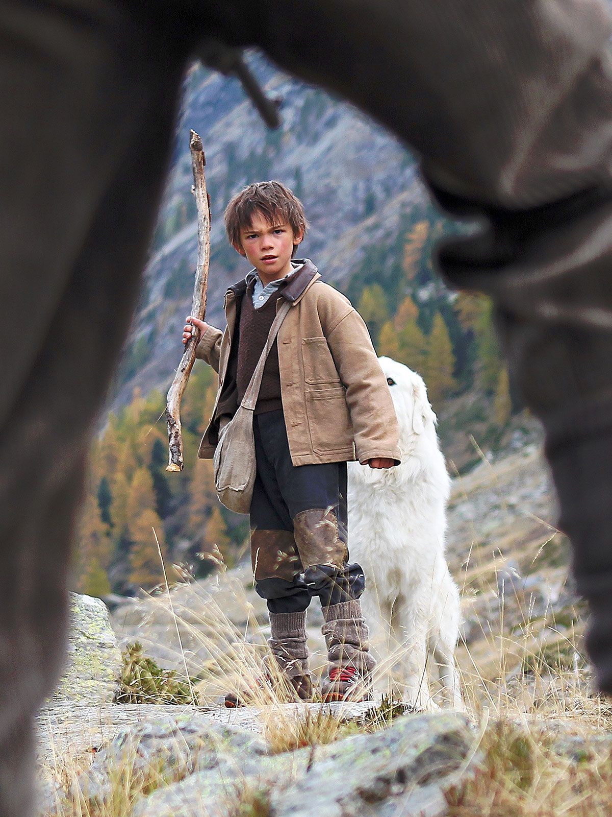 Bild zu Félix Bossuet Belle & Sebastian Bild Félix Bossuet