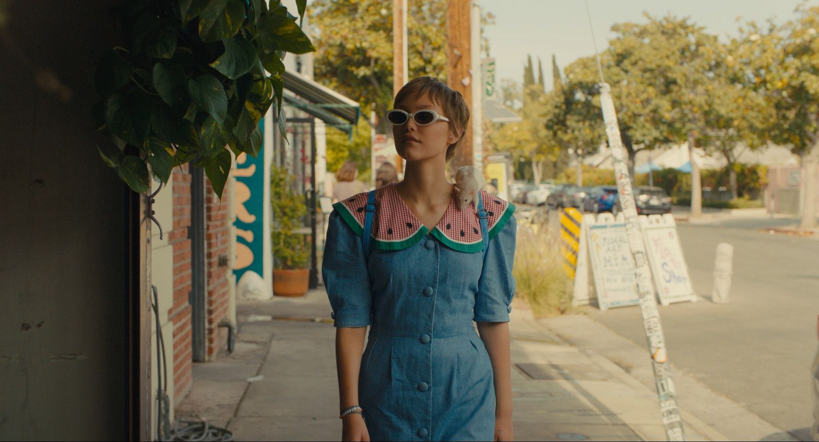 Foto zum Film Hollywood Stargirl Bild 8 auf 10 FILMSTARTS.de