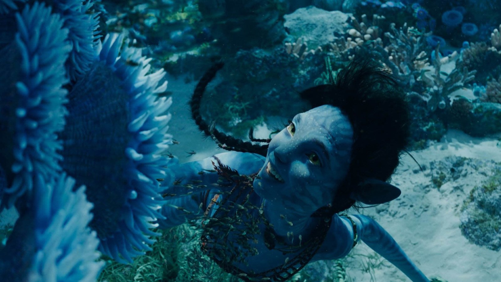 Foto Zum Film Avatar 2: The Way Of Water - Bild 59 Auf 69 - FILMSTARTS.de