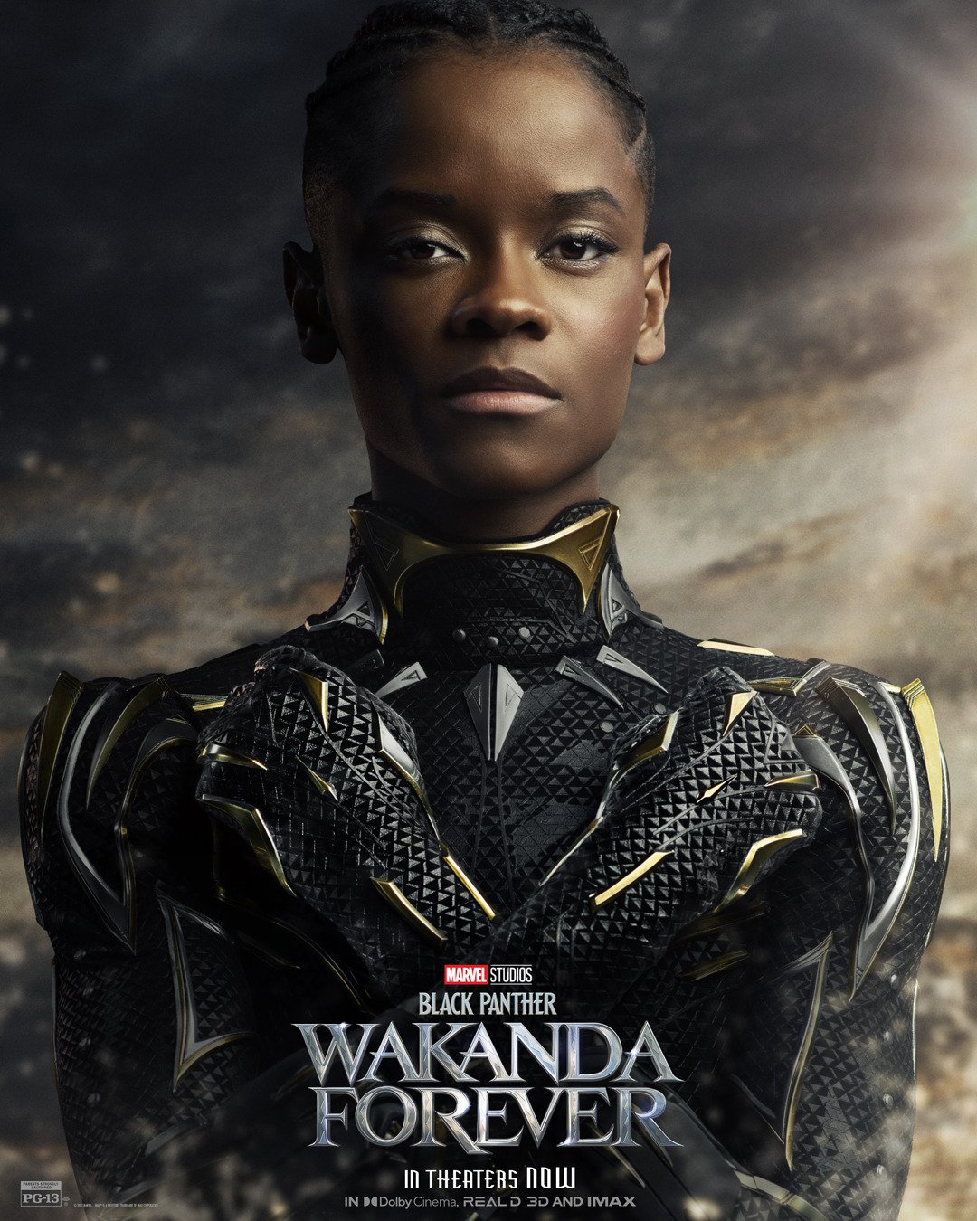 Poster Zum Film Black Panther 2 Wakanda Forever Bild 5 Auf 47 Filmstartsde