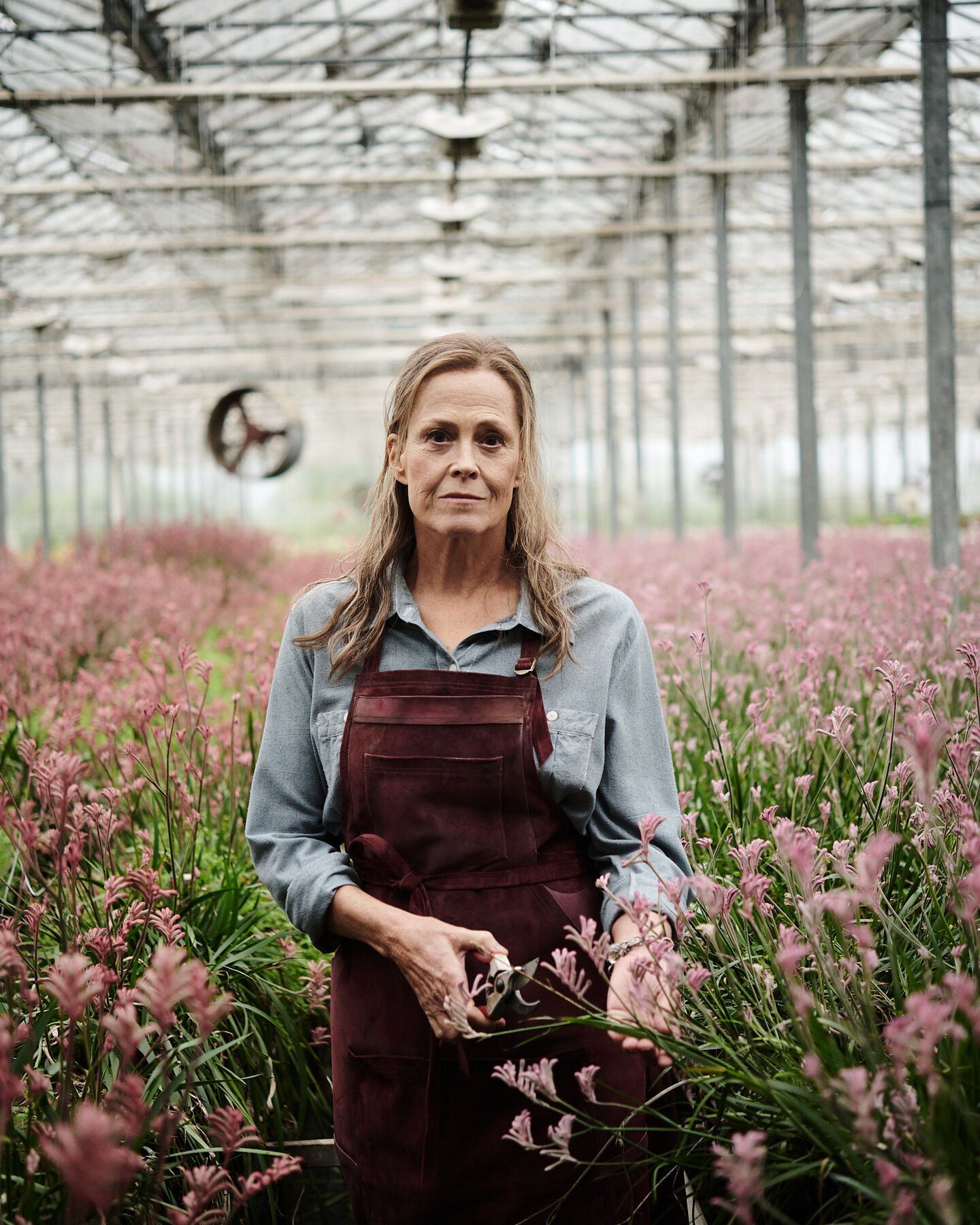 Die verlorenen Blumen der Alice Hart Bild Sigourney Weaver 11 von 22
