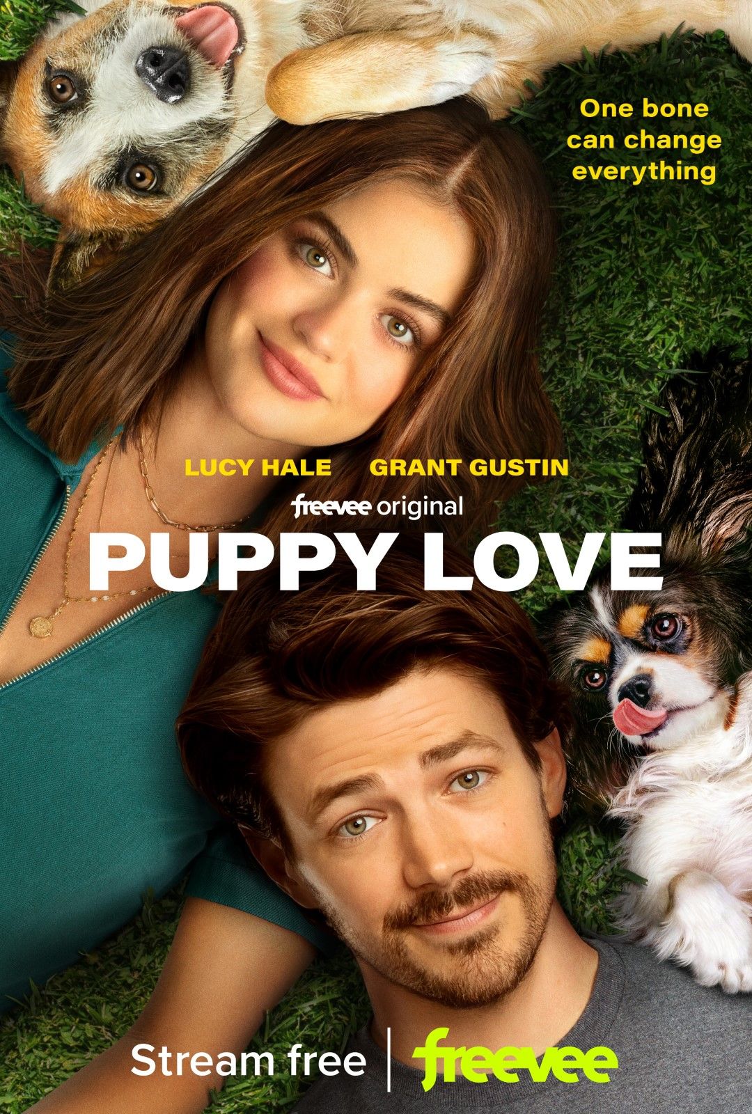 Puppy Love Film 2023 FILMSTARTS.de