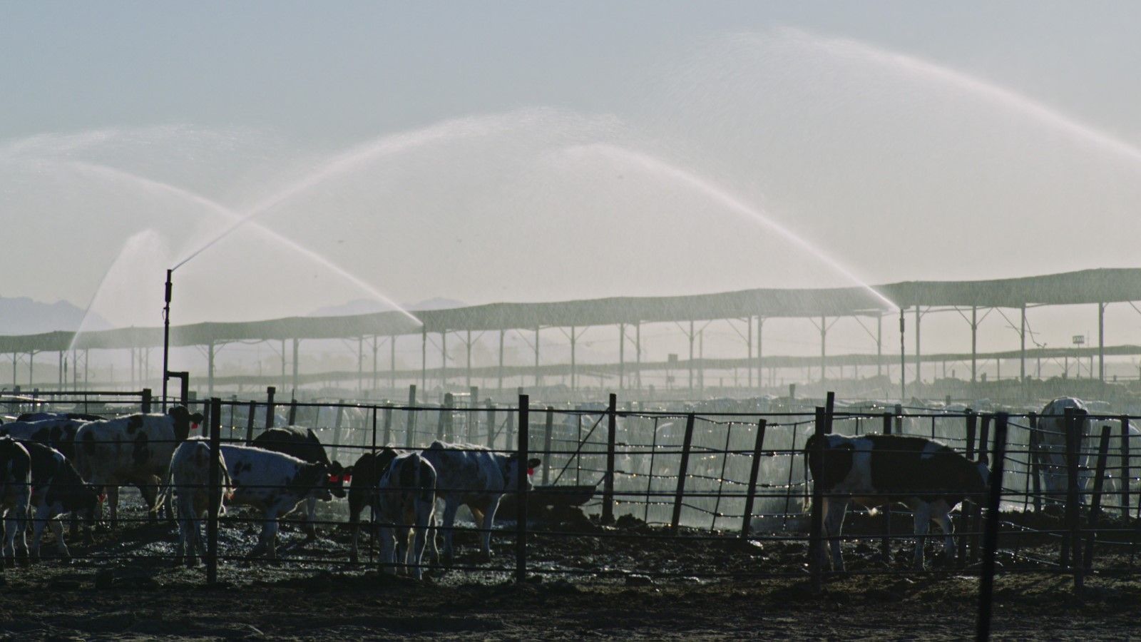 Foto zum Film Vergiftet: Die schmutzige Wahrheit über unser Essen