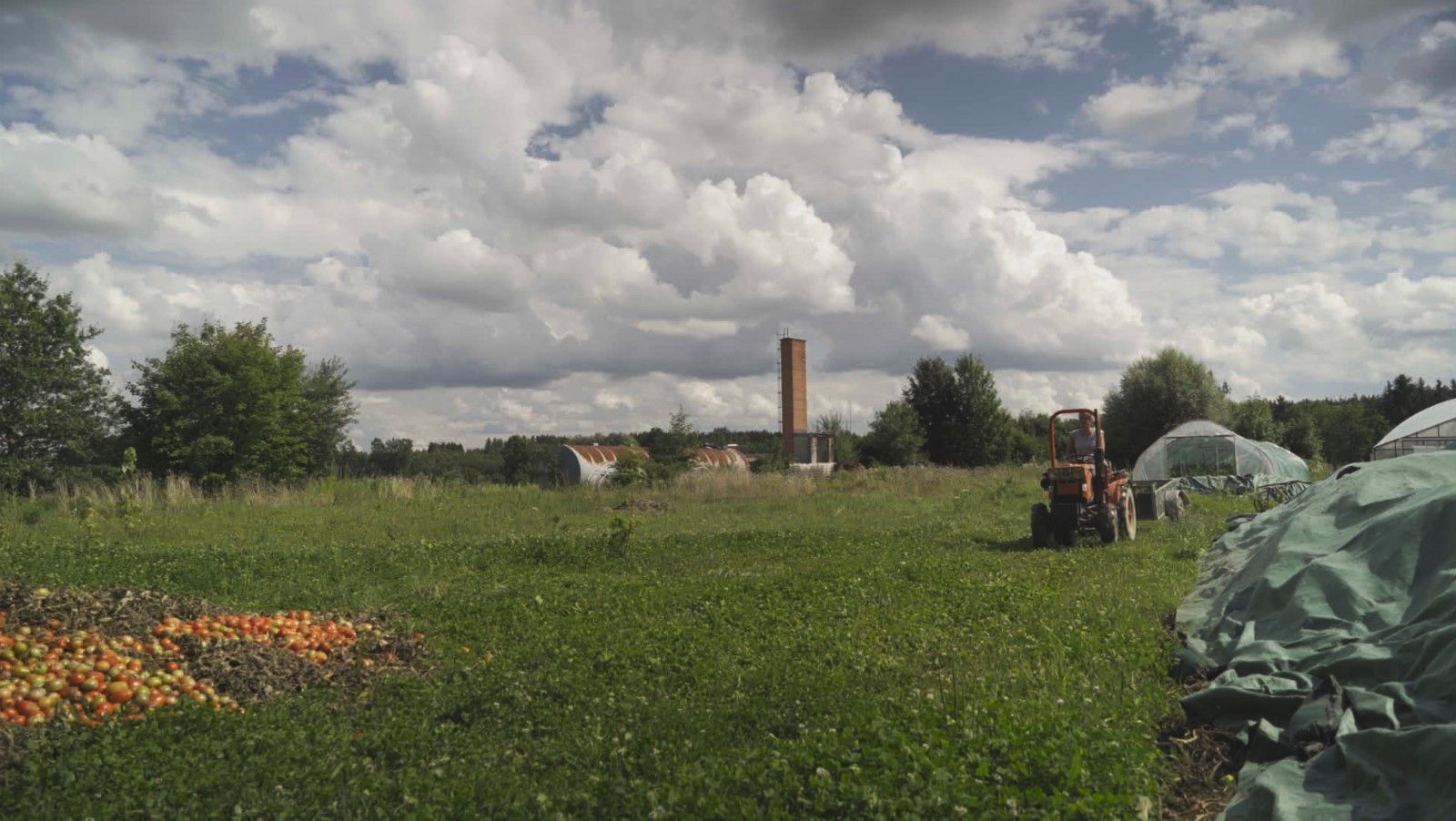 Foto zum Film Das Kombinat Bild 2 auf 13 FILMSTARTS.de