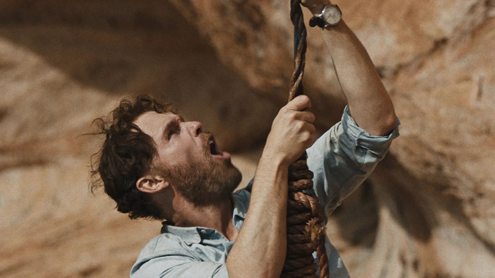 Foto zum Film The Seeding Bild 1 auf 2 FILMSTARTS.de