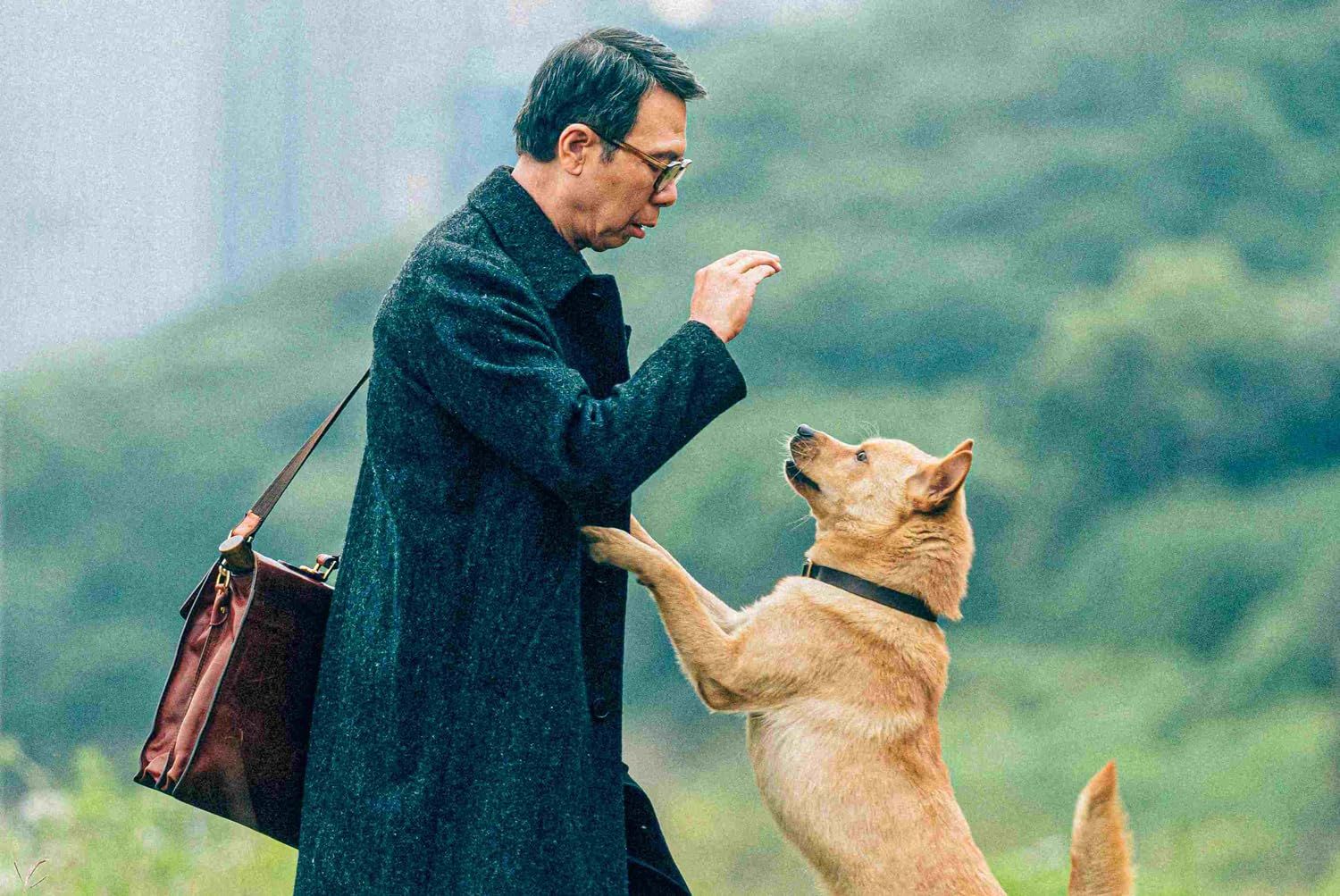 Foto zum Film Hachiko Eine Freundschaft für die Ewigkeit Bild 2 auf