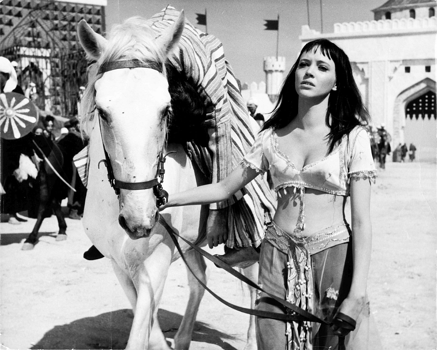 Sheherazade - Der goldene Löwe von Bagdad : Bild Anna Karina