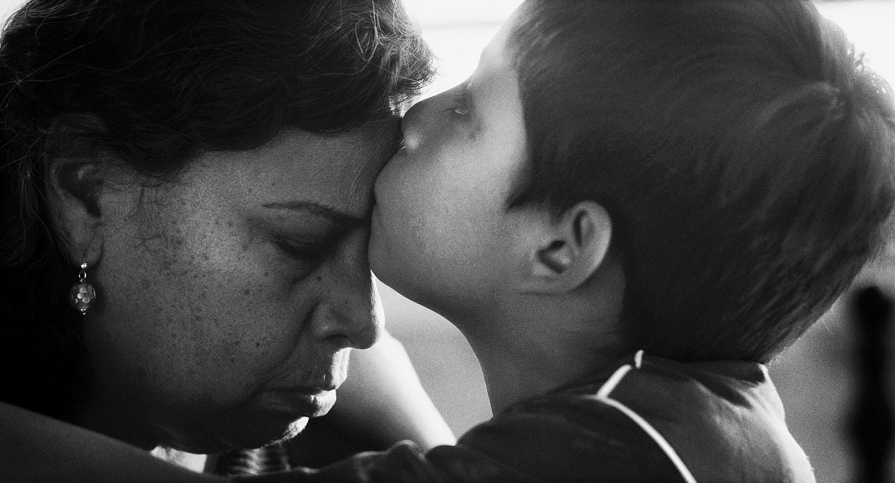 Moscas - Fliegen und andere Gäste : Bild Bastian Escobar, Teresita Sánchez
