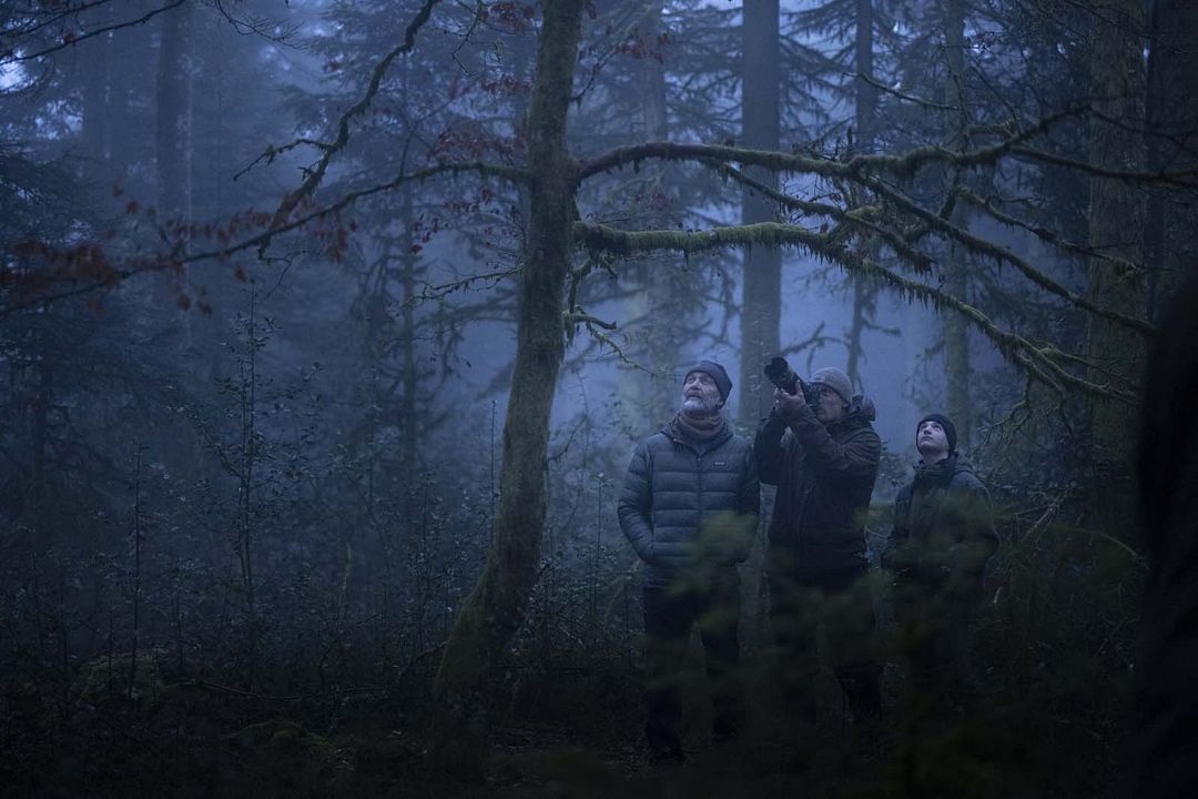 Das Flüstern der Wälder : Bild Simon Munier, Michel Munier, Vincent Munier