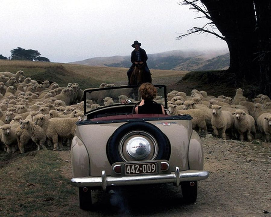 Der Liebe entgegen : Bild