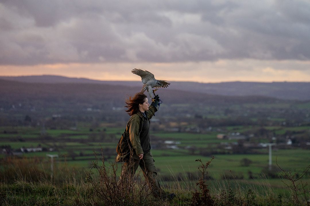 H wie Habicht : Bild Claire Foy