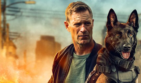 Muzzle: City Of Wolves : Bild