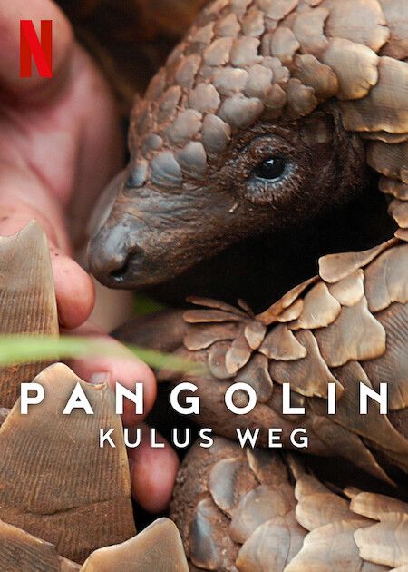 Pangolin: Kulus Weg : Kinoposter