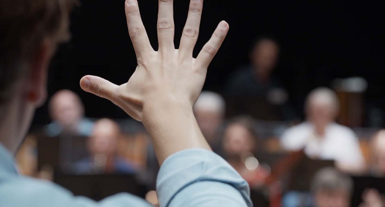 Wir, das Orchester : Bild