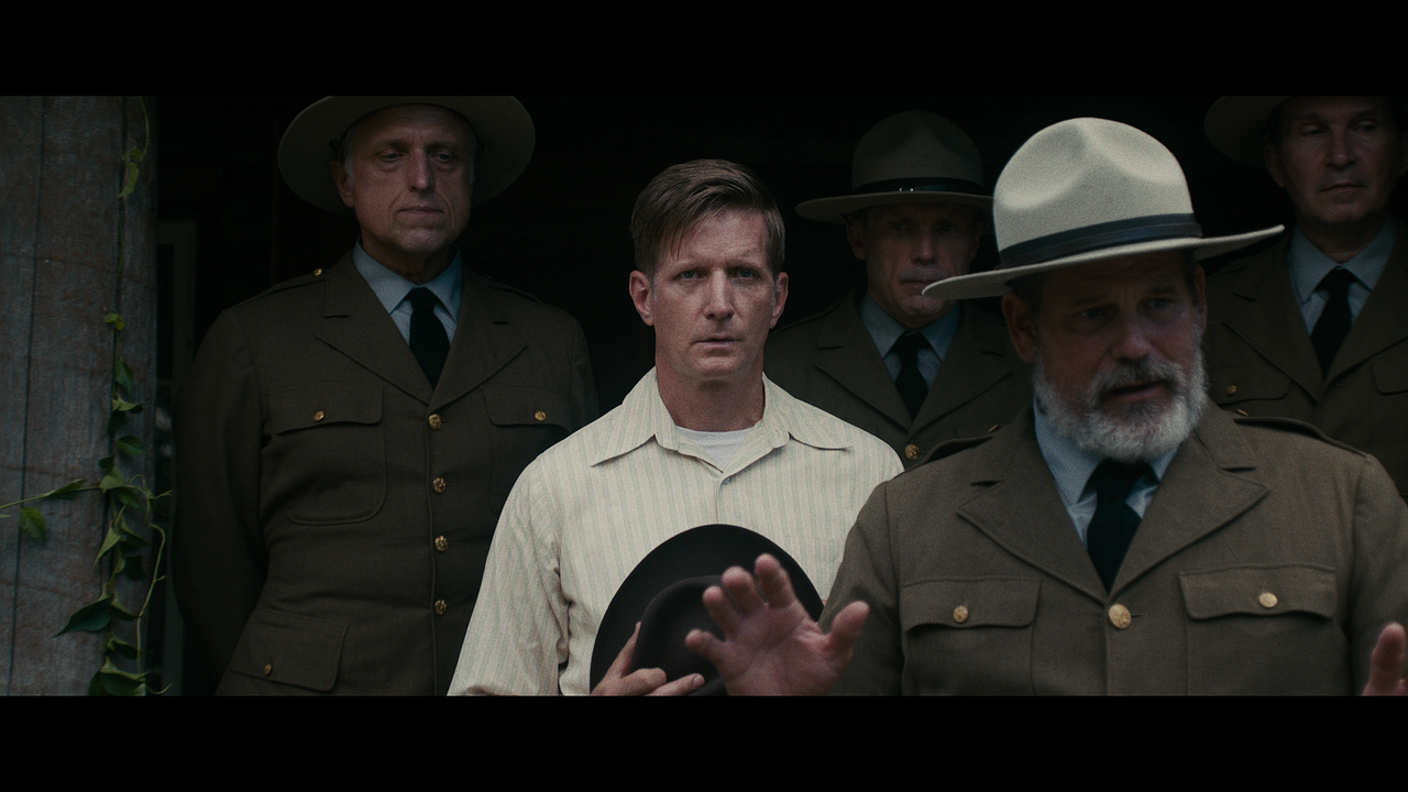 Verloren in der Wildnis : Bild