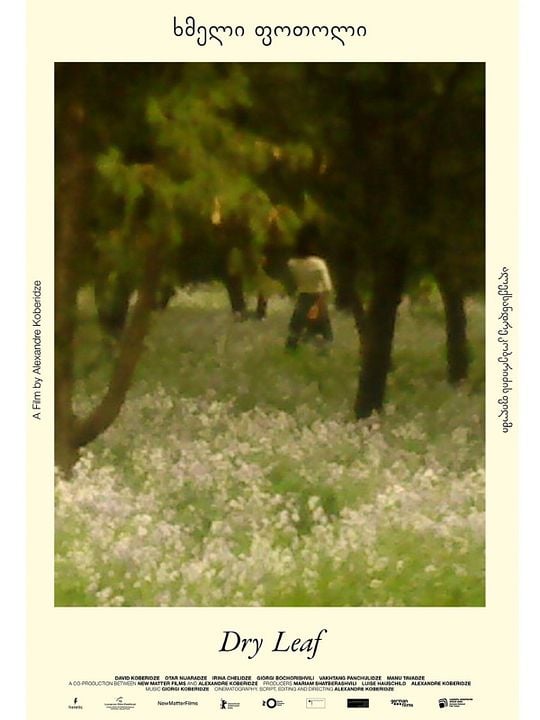 Dry Leaf : Kinoposter
