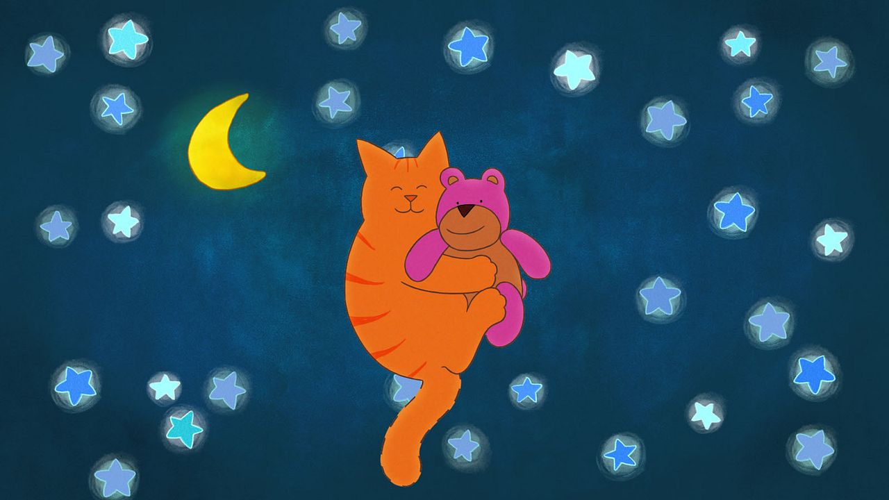 Tommy Tom - der verschwundene Teddybär : Bild