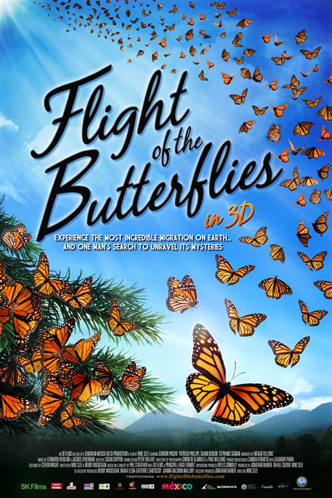 Flug der Schmetterlinge : Kinoposter