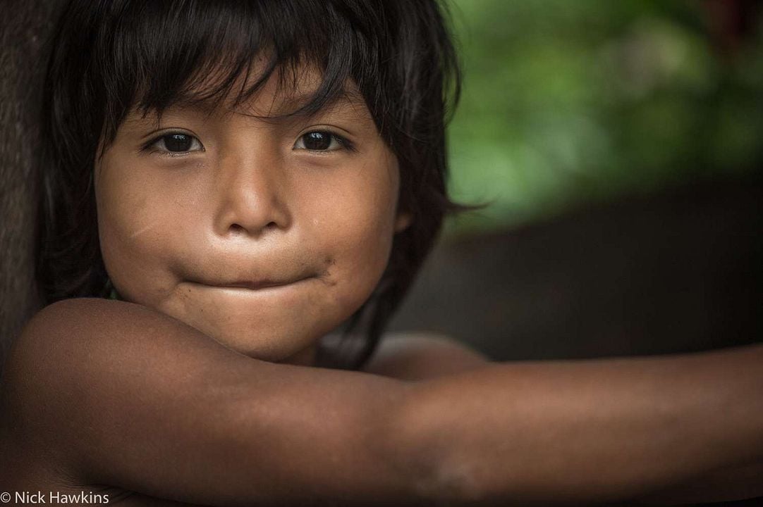 Patrol – Auf Patrouille durch den Regenwald : Bild