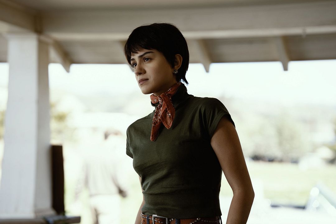 On Swift Horses : Bild Sasha Calle