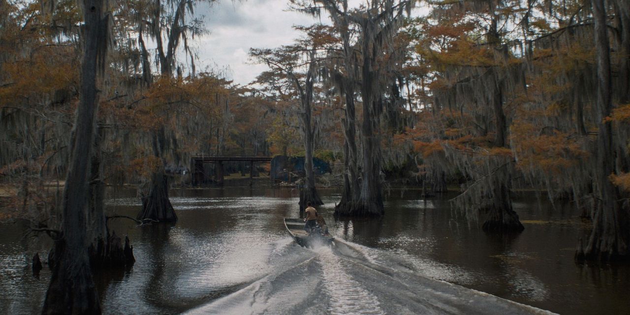 Caddo Lake : Bild