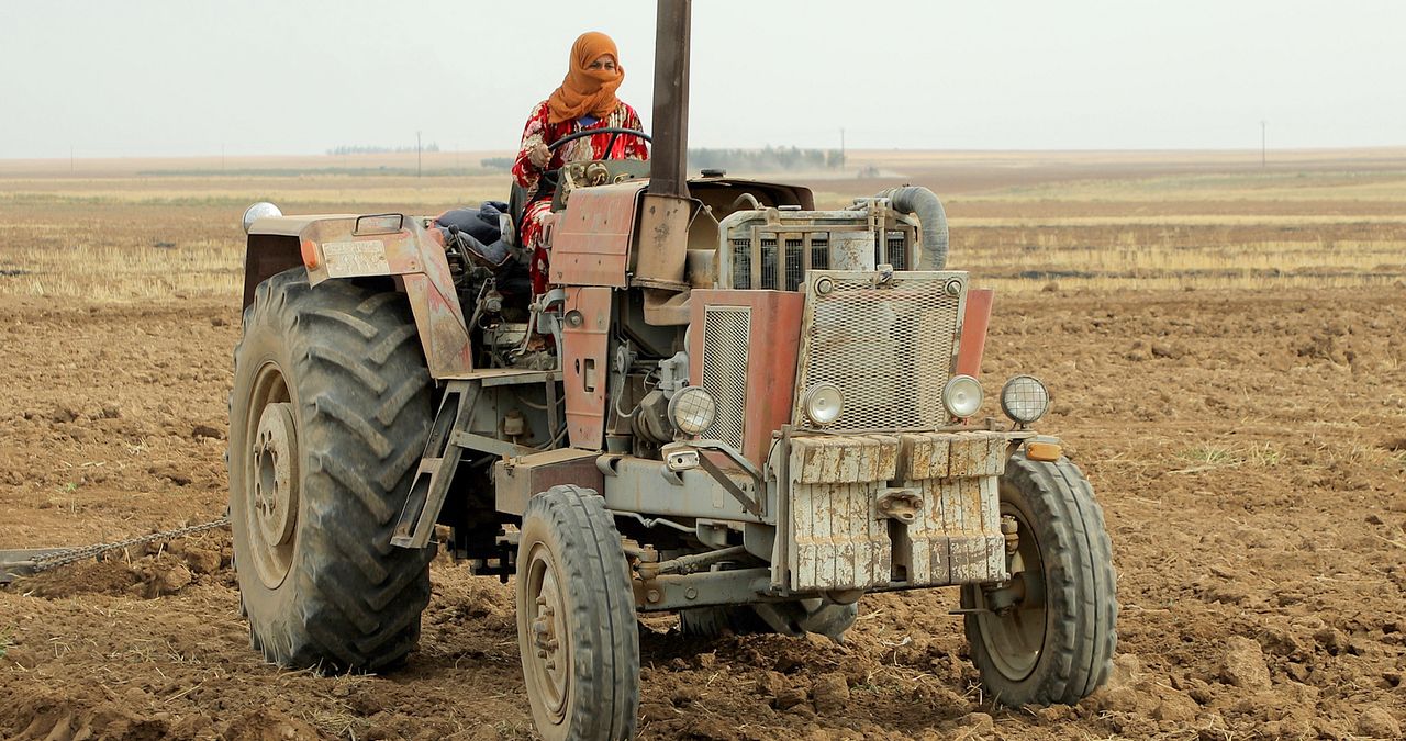 Tevî her tiştî – Trotz alledem : Bild