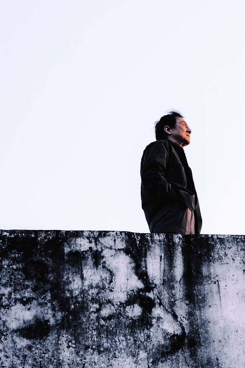 Shadow Chase - Im Netz der Diebe : Bild Jackie Chan