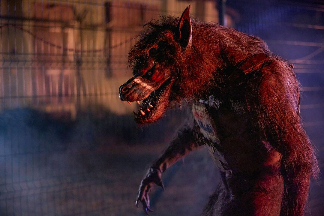 Werewolves : Bild