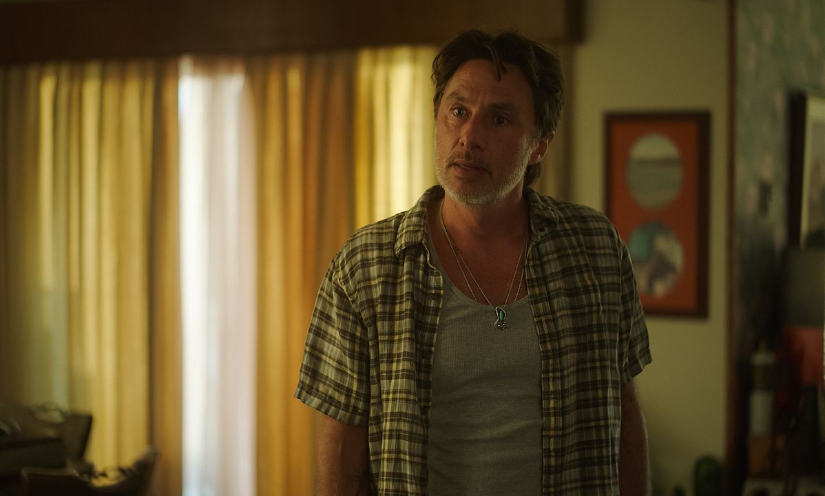 Girls Like Girls : Bild Zach Braff