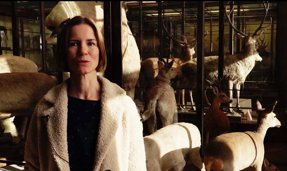 Anstatt Bäumen : Bild