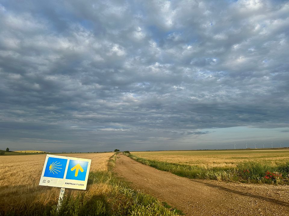 MEIN WEG - 780 km zu mir : Bild