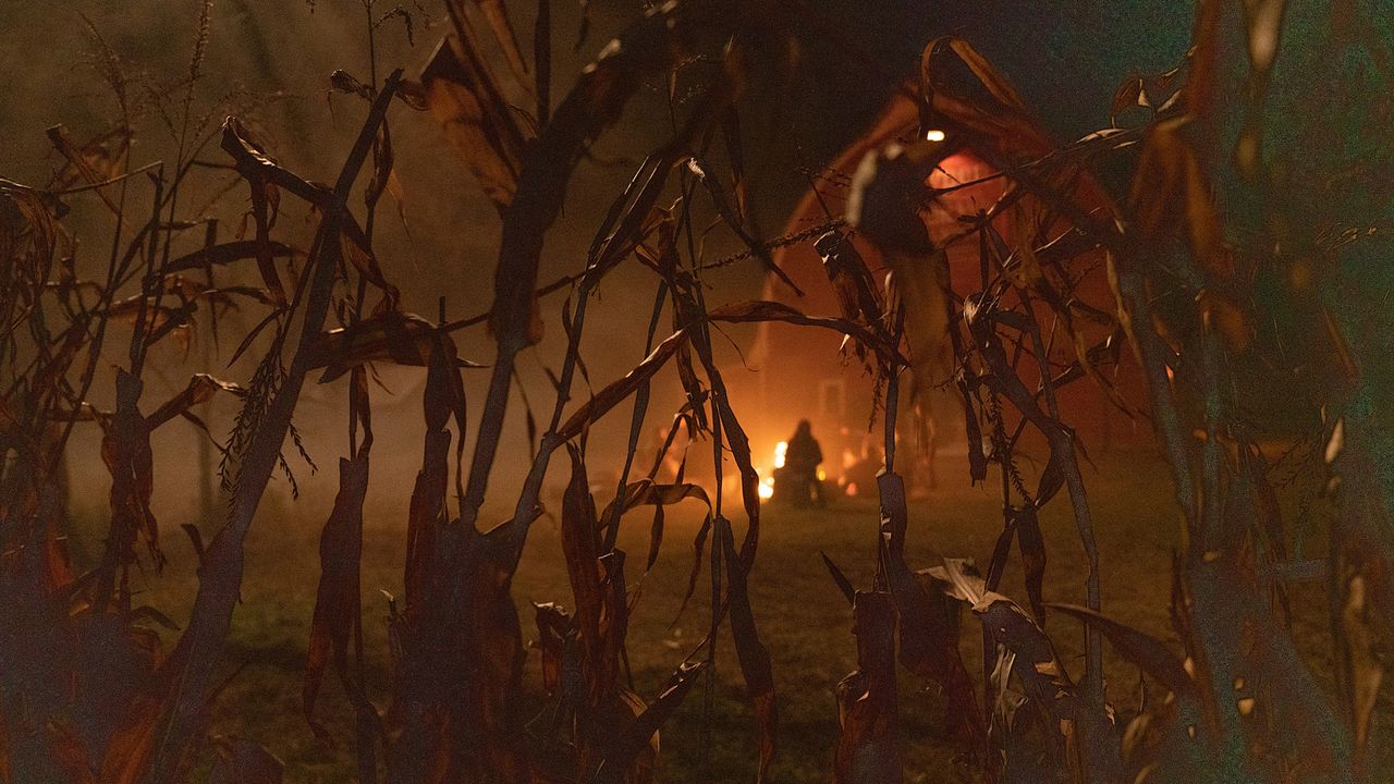 Clown In A Cornfield : Bild