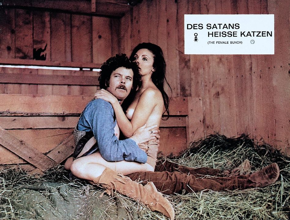 Des Satans heiße Katzen : Bild