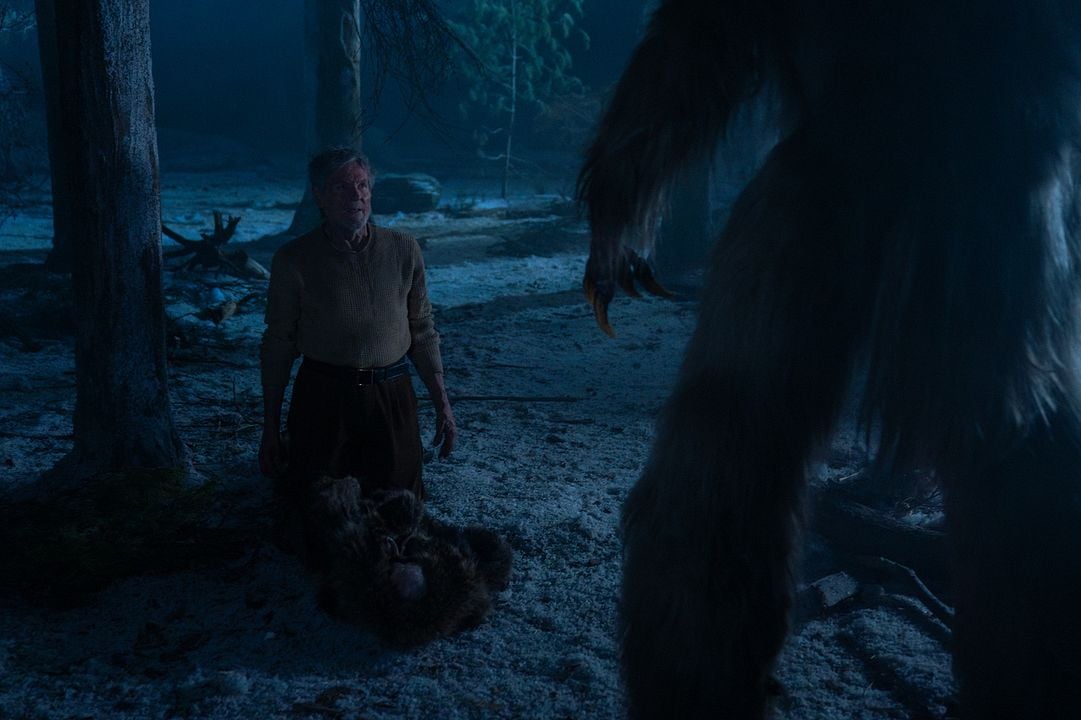 Yeti : Bild