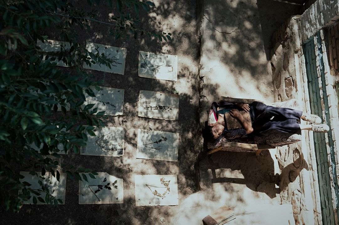 Der Botaniker : Bild