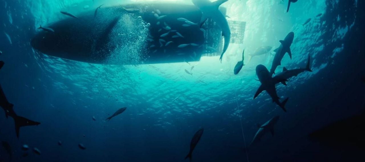 Dangerous Animals : Bild