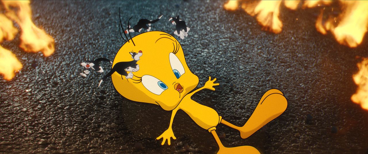Coyote vs Acme : Bild