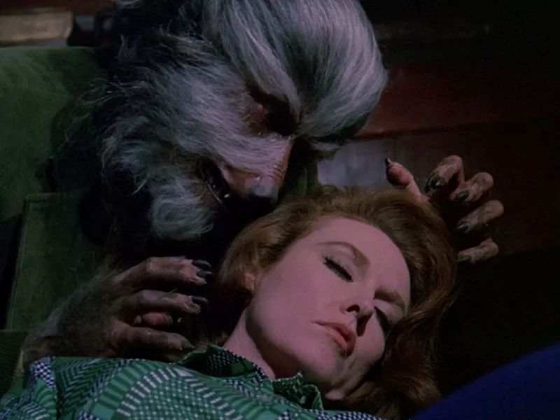 Ein Junge schrie Werwolf : Bild