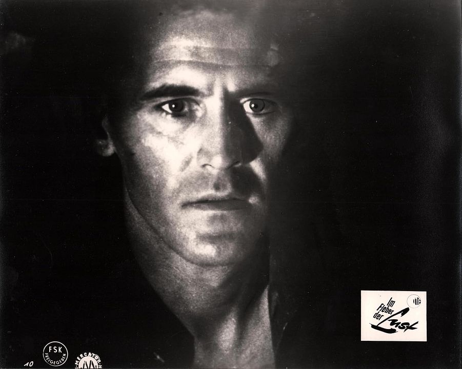 Im Fieber der Lust : Bild